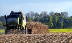 AM: summer harvest completed, yields favorable