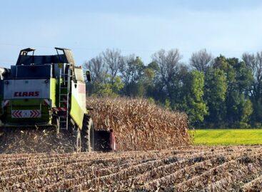 60 percent of the corn was harvested in Zala county