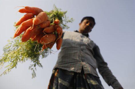 The negative hidden costs of food systems can reach $10 trillion