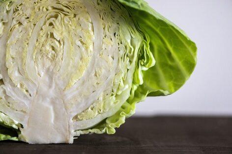 NAK-FruitVeB: import pressure is increasing on the cabbage market