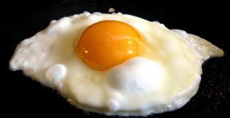 What came first, the egg or the cameraman? – Video of the day