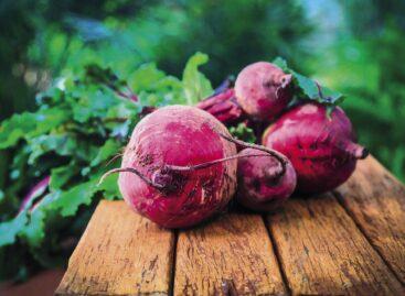 Beetroot is a kitchen staple for autumn and winter