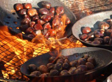 Few sweet chestnuts were produced in Europe this year, the processing industry is in trouble
