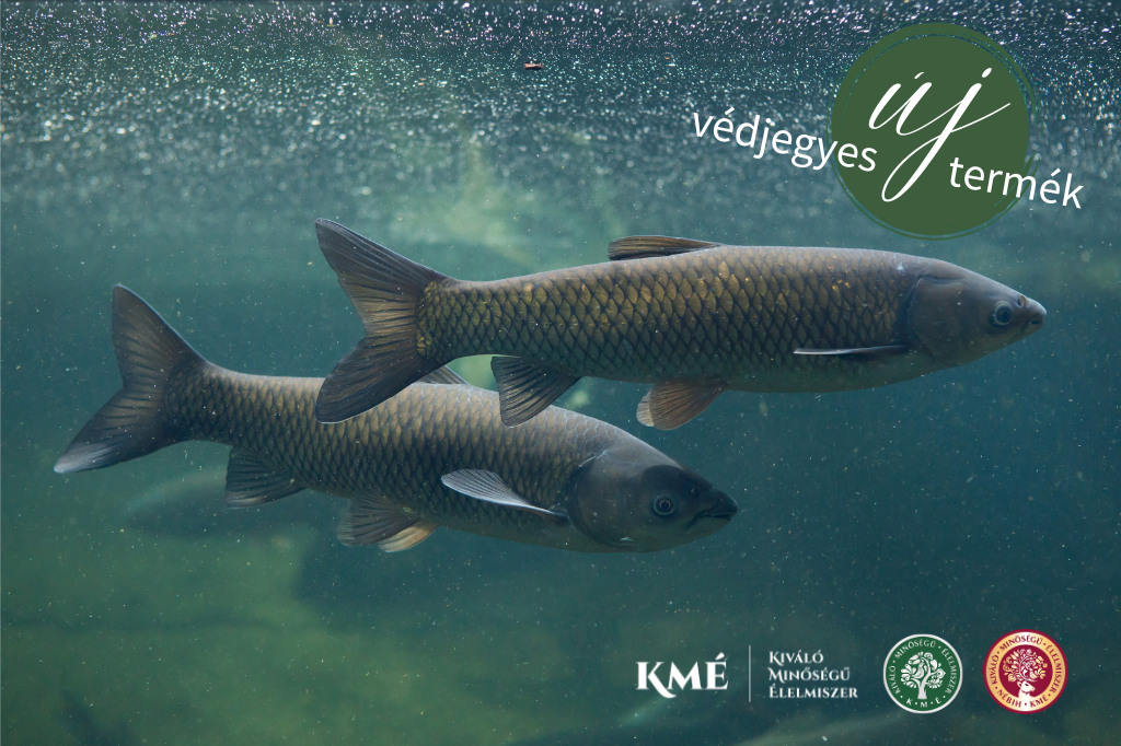 The first trademarked product of the year, live grass carp, is swimming