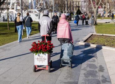 10 ezer párnak osztott vörös rózsát Valentin-nap alkalmából a Kinley