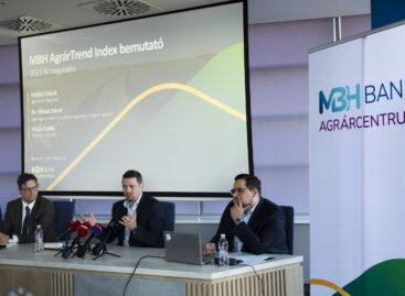 MBH Bank: Nyugodtabb évre számíthat 2024-ben a magyar agrár- és élelmiszeripar