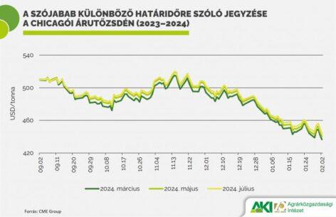A szójabab azonnali exportára nőtt Ukrajnában