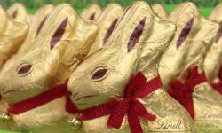 Megérkeztek a Nébih tavaszi ellenőrzéseinek első tapasztalatai