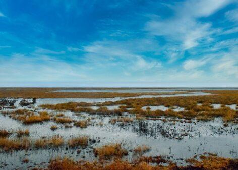 ELTE-kutatás: a vizes élőhelyek visszaállítása enyhíthetné az aszályt az Alföldön