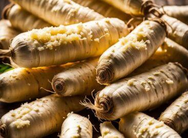 Our country is still at the forefront of horseradish cultivation