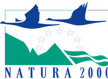Megjelent a Natura 2000 gyepterületek kompenzációs támogatása