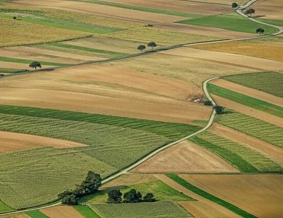 AM: a térséget érintő válságok leküzdésében is óriási szerepe van a FAO-na