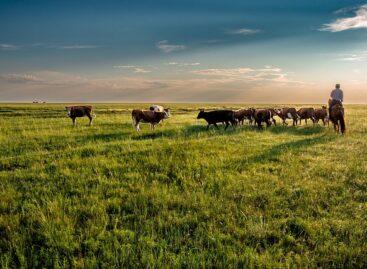 The payment of support related to Natura 2000 grasslands has begun