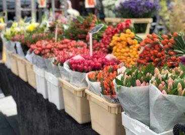 A growing turnover is expected in the domestic flower trade