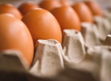 The price of eggs at the packing point is 19 percent lower than a year ago