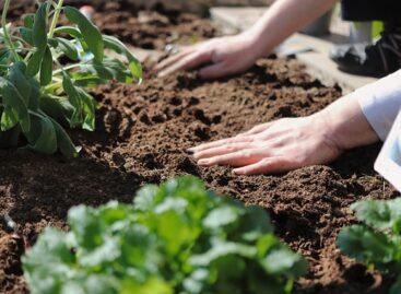 MTT: a priority task is to preserve the productivity of domestic soils