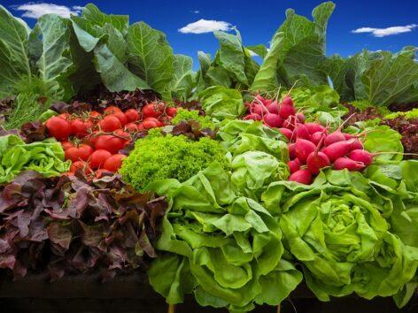 A tavasz közeledtével egyre több hazai zöldség kerül a boltokba