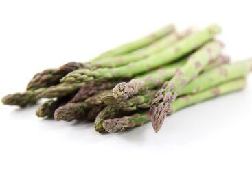 This year’s asparagus season started earlier than usual