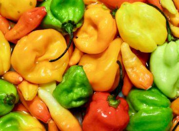 The transitional period of the European pepper season: price and supply changes
