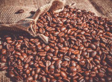 Nestlé identifies “climate-resilient coffee plants” using data science methods and AI