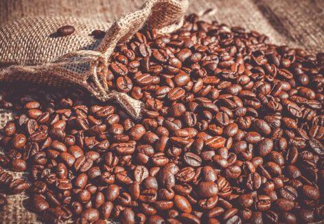 Nestlé identifies “climate-resilient coffee plants” using data science methods and AI