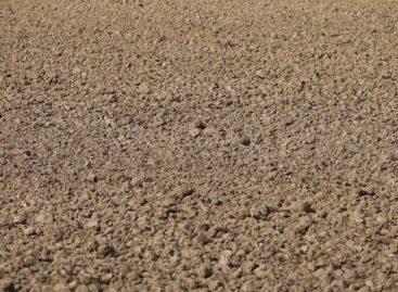 Agrometeorology: dry soil in the Great Plain awaits sowing