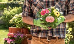 AM: ornamental plant growers can continue to count on government support