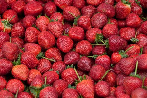 Greece’s strawberry exports reach record numbers this season