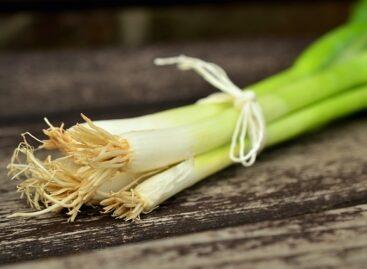 It produced more spring onions, but fewer leeks