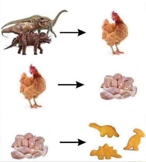 Evolution – Picture of the day