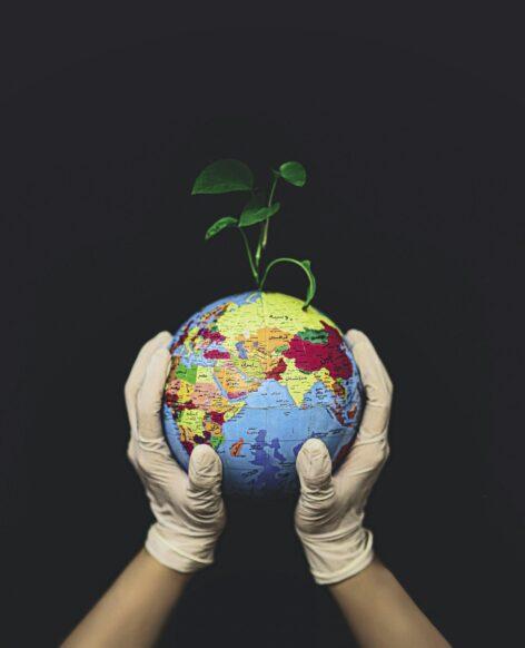 Fókuszban az ESG:  mi is az a kettős lényegesség?