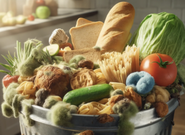Blue planet: processing food waste is particularly important