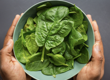 With the spread of health-conscious nutrition, the popularity of spinach is also increasing in our country