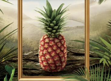 This pineapple costs 400 USD, but is a huge success