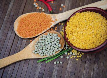 Plant-based proteins: a complete source of essential amino acids