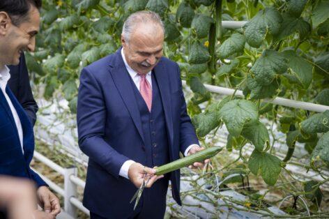The biggest cucumber-growing greenhouse in our country was handed over