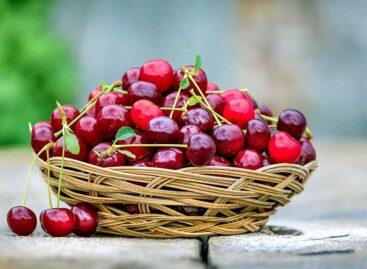 The producer price of cherries is 14 percent lower