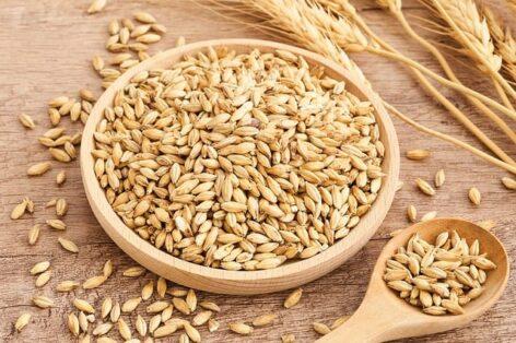 Israel has agreed on an emergency wheat supply with Romania