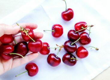 NAK – FruitVeb: június elejétől még több cseresznye kerül a piacra