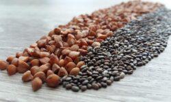 EU recognises certificates of imported seeds from Ukraine and Moldova as equivalent
