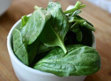 With the spread of health-conscious nutrition, the popularity of spinach is also increasing in our country