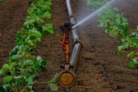 During the period of permanent water shortage, it is possible to irrigate without a water law permit