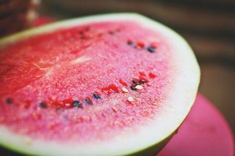Agroinform.hu: the domestic melon season may start weeks earlier this year