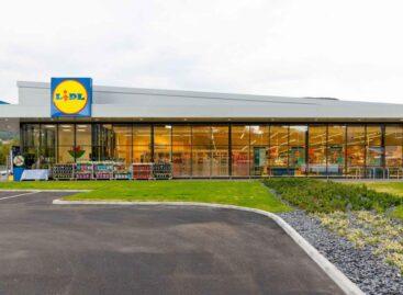 Lidl calls on contractors as it looks to open hundreds of stores