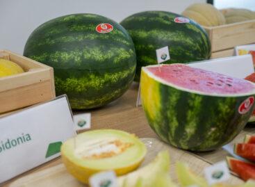 And by the first of July, honey-sweet domestic watermelons will be available in all Hungarian retail chains