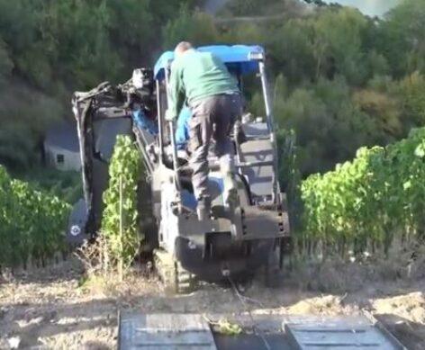 Harvest on the steep hillside – Video of the day