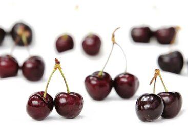 Cherry growers expect a smaller than average harvest
