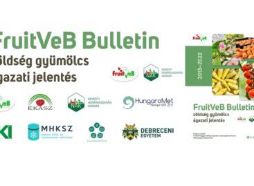 FruitVeb and NAK prepared a fruit and vegetable sector bulletin