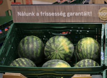 From July 1, all watermelons with seeds come to Tesco from domestic producers