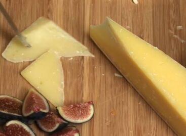 (HU) Van itt néhány sajt, vágod? – A nap videója